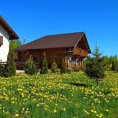 Pensiunea Lacul Mocearu Hotel Budesti  Екстериор снимка