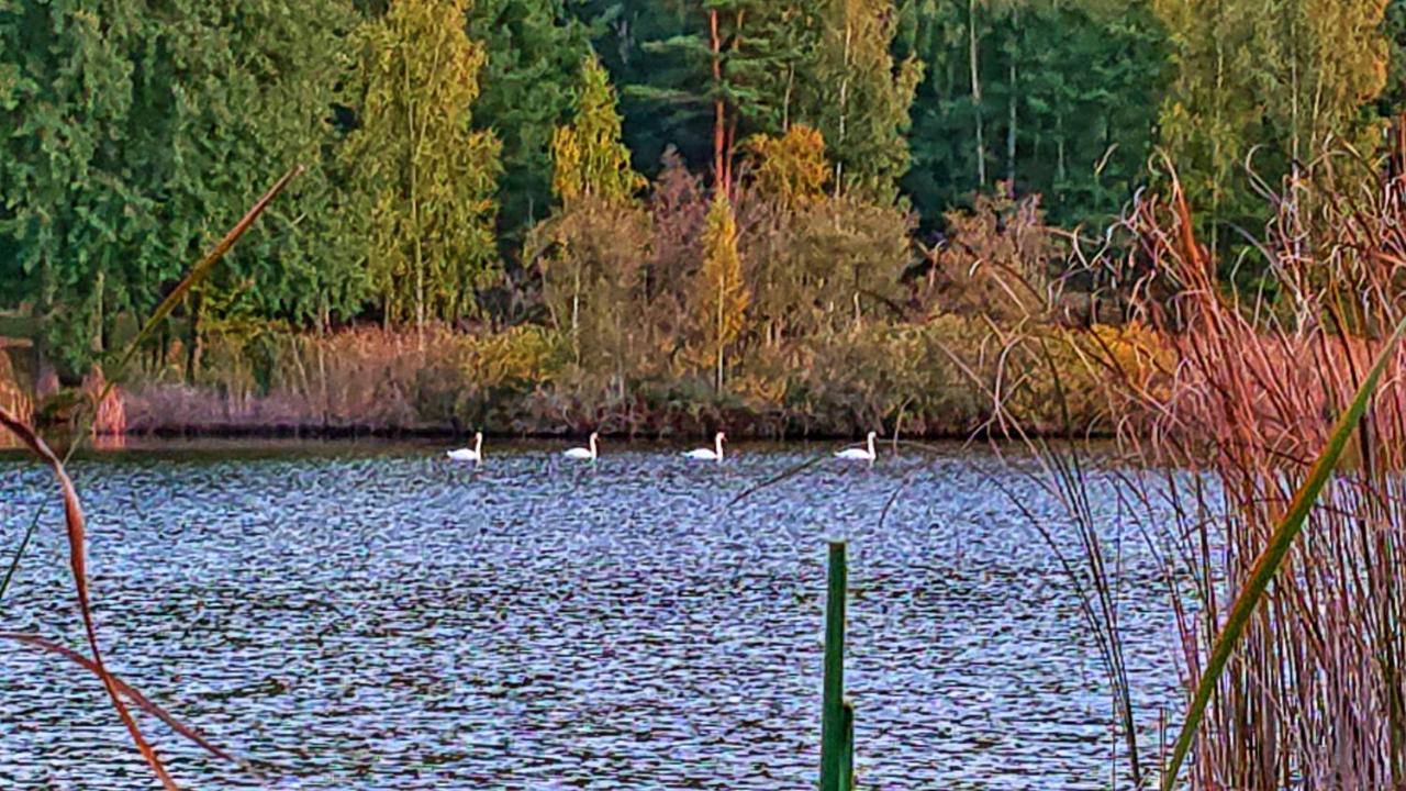 Pensiunea Lacul Mocearu Hotel Budesti  Екстериор снимка