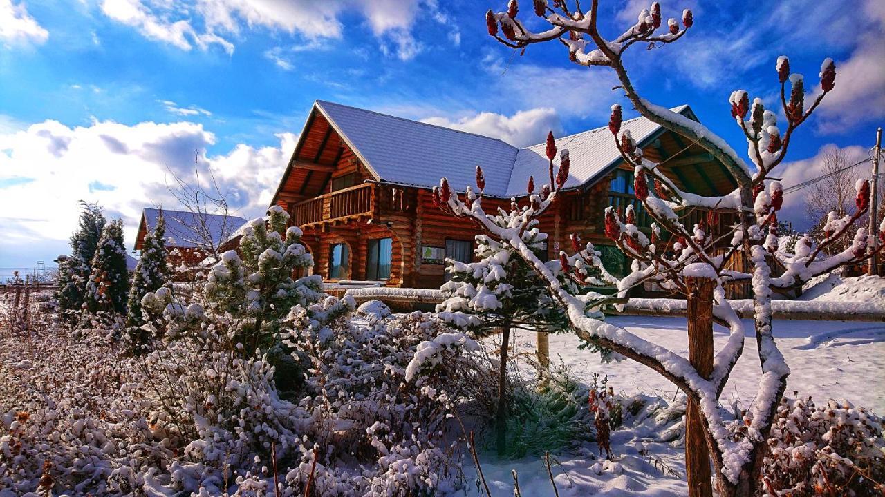 Pensiunea Lacul Mocearu Hotel Budesti  Екстериор снимка