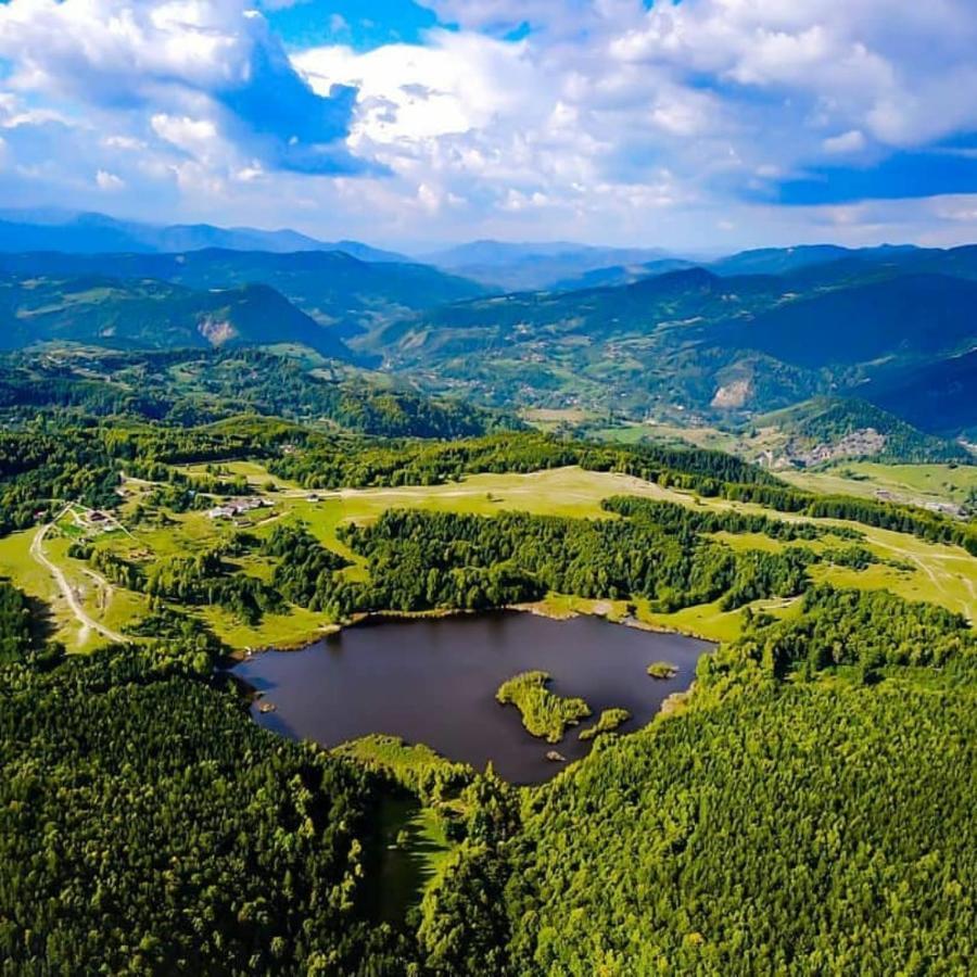 Pensiunea Lacul Mocearu Hotel Budesti  Екстериор снимка