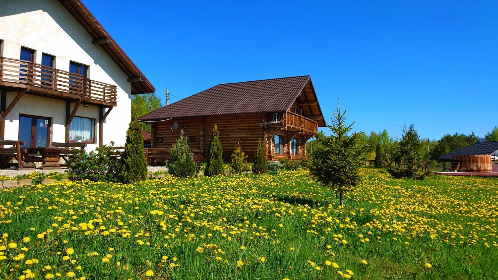 Pensiunea Lacul Mocearu Hotel Budesti  Екстериор снимка